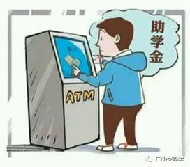 教育咨询的沟通桥梁 如何高效获取教育支持