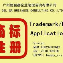 国内商标注册代理服务 价格、批发与厂家代理代办全解析
